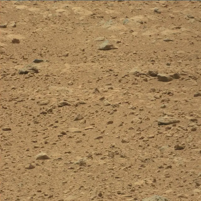 Sol 49: Mast Camera (Mastcam)