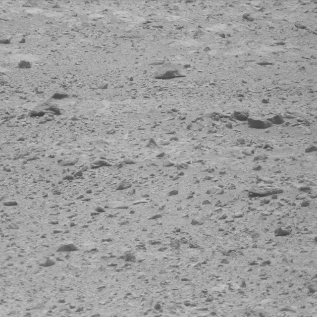 Sol 49: Mast Camera (Mastcam)