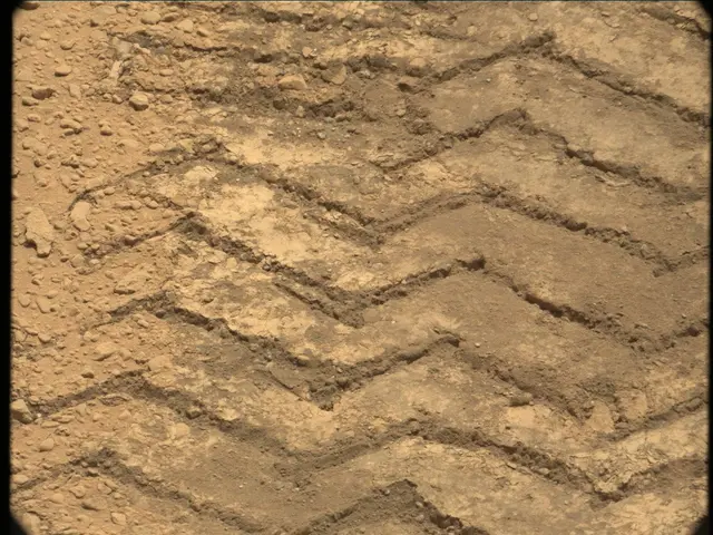 Sol 49: Mast Camera (Mastcam)