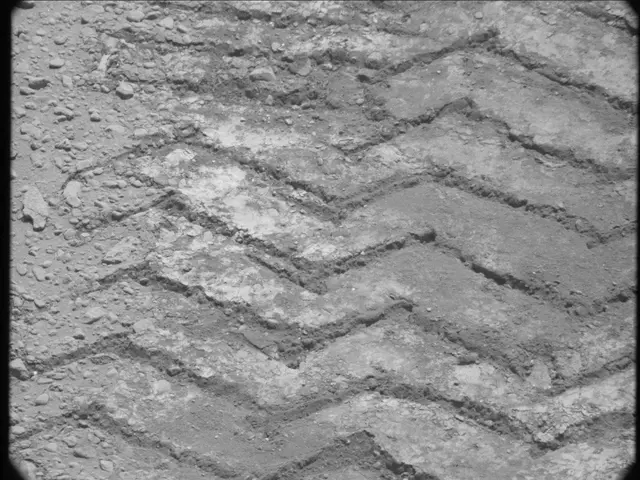 Sol 49: Mast Camera (Mastcam)