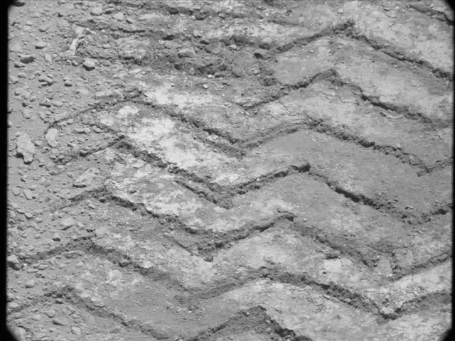 Sol 49: Mast Camera (Mastcam)