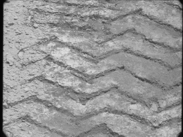 Sol 49: Mast Camera (Mastcam)