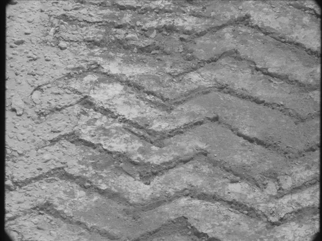 Sol 49: Mast Camera (Mastcam)