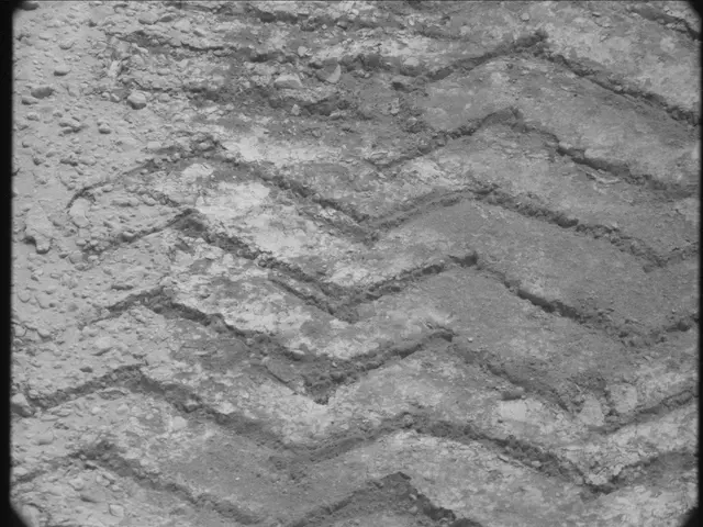 Sol 49: Mast Camera (Mastcam)