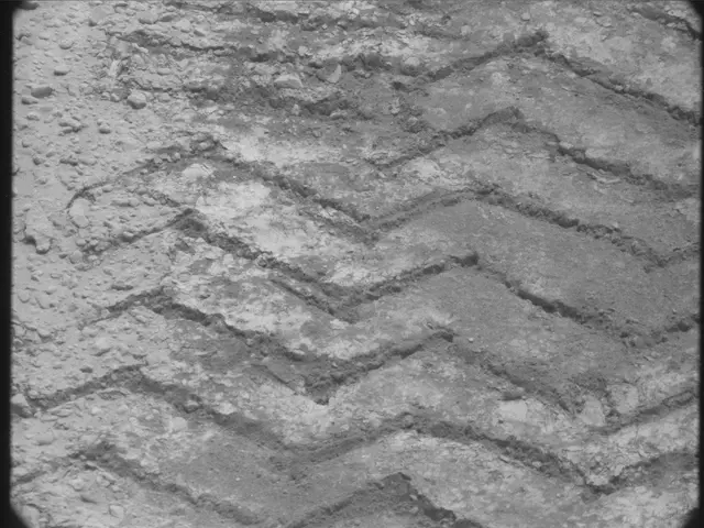 Sol 49: Mast Camera (Mastcam)