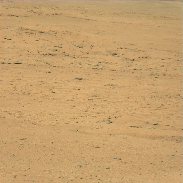 Sol 49: Mast Camera (Mastcam)