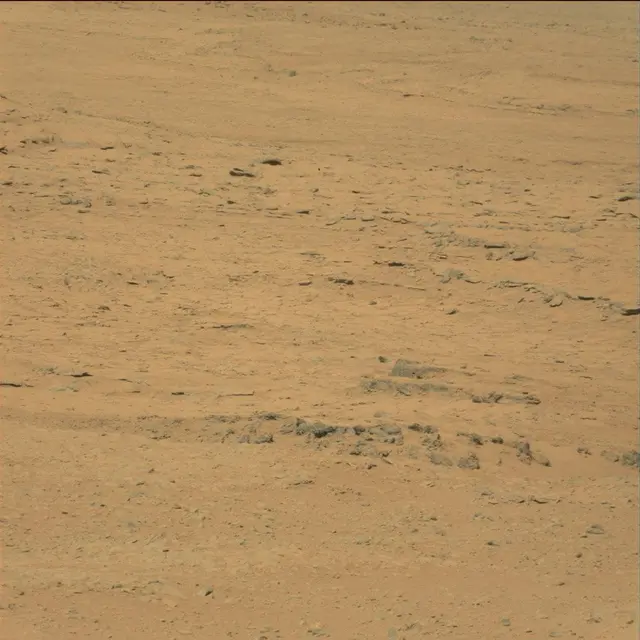 Sol 49: Mast Camera (Mastcam)