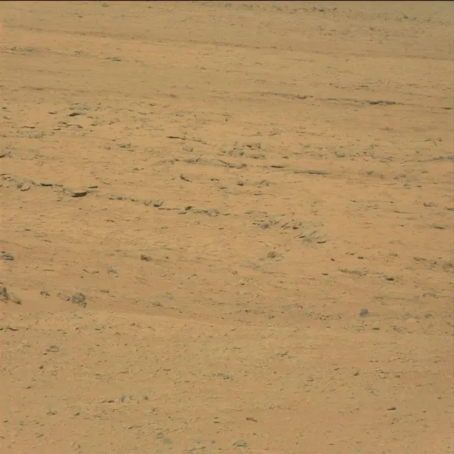 Sol 49: Mast Camera (Mastcam)