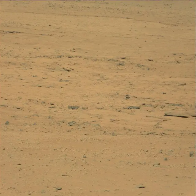 Sol 49: Mast Camera (Mastcam)