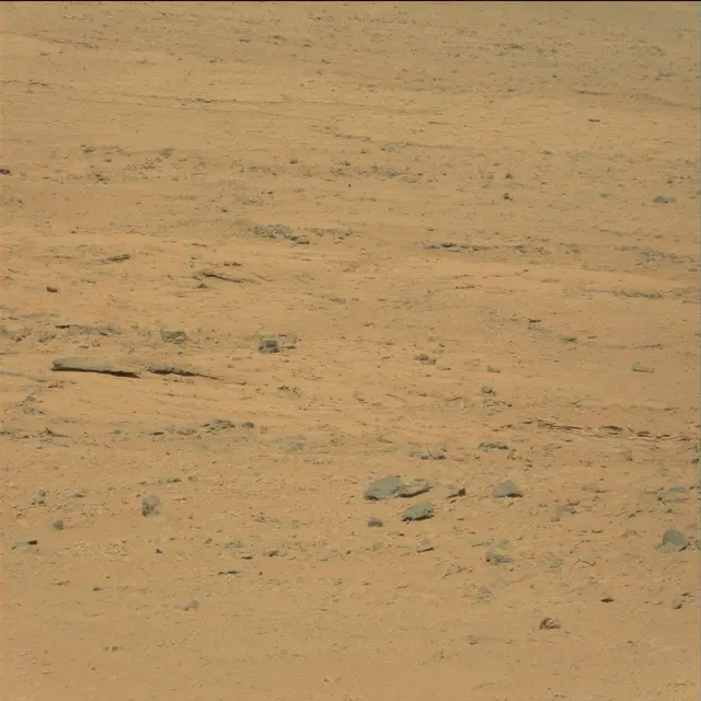Sol 49: Mast Camera (Mastcam)