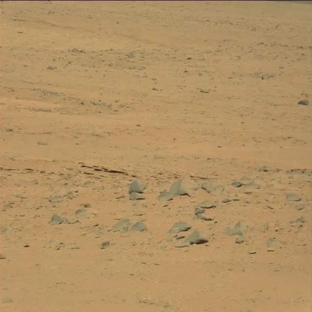Sol 49: Mast Camera (Mastcam)