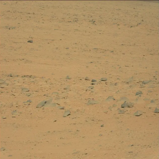 Sol 49: Mast Camera (Mastcam)