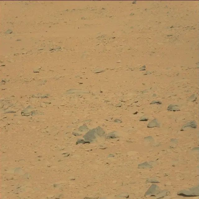 Sol 49: Mast Camera (Mastcam)