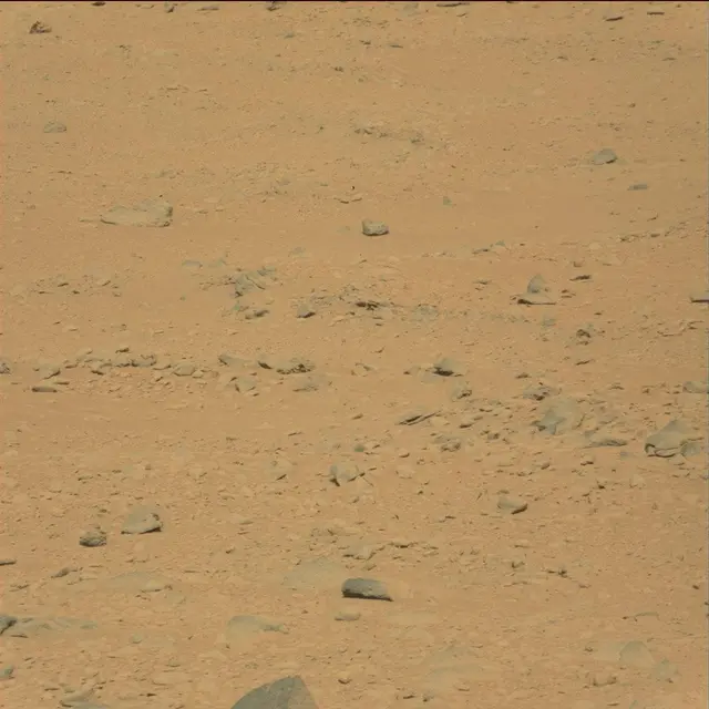 Sol 49: Mast Camera (Mastcam)