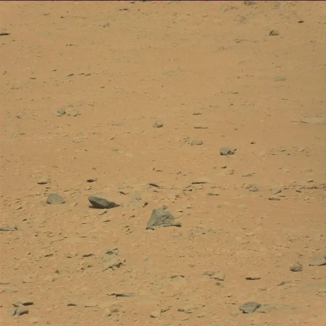 Sol 49: Mast Camera (Mastcam)