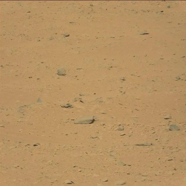 Sol 49: Mast Camera (Mastcam)