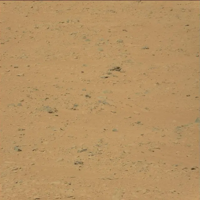 Sol 49: Mast Camera (Mastcam)