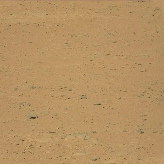 Sol 49: Mast Camera (Mastcam)