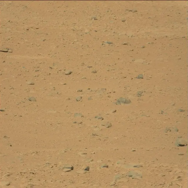 Sol 49: Mast Camera (Mastcam)