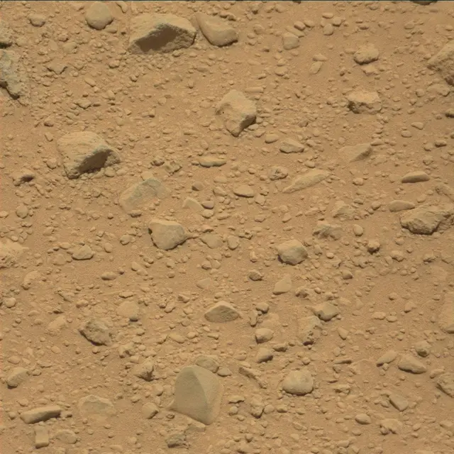 Sol 49: Mast Camera (Mastcam)