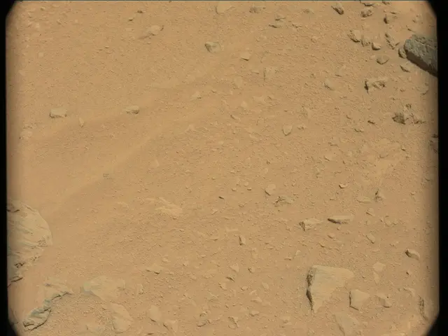 Sol 50: Mast Camera (Mastcam)