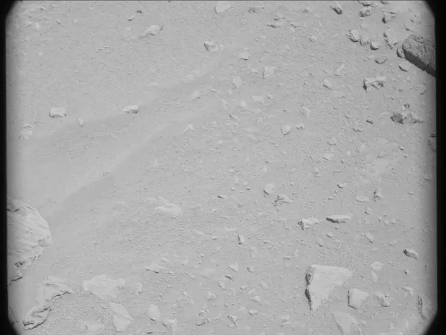 Sol 50: Mast Camera (Mastcam)