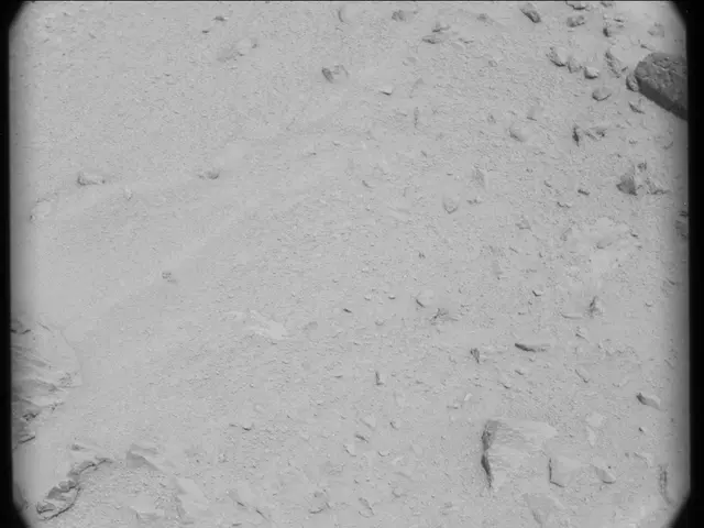 Sol 50: Mast Camera (Mastcam)
