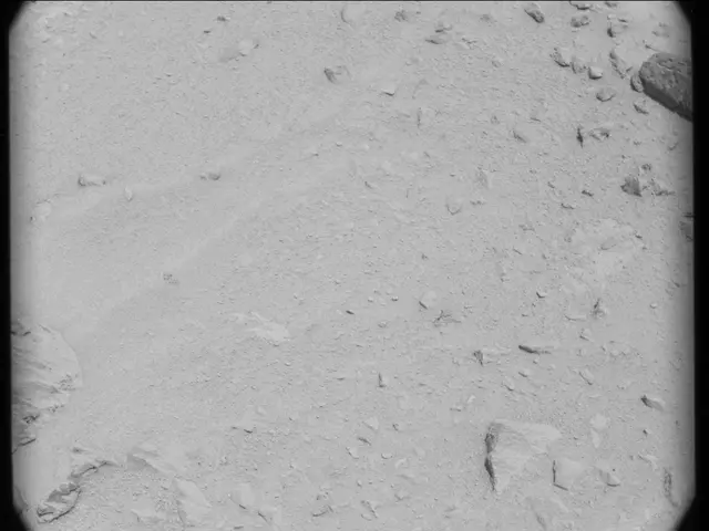 Sol 50: Mast Camera (Mastcam)
