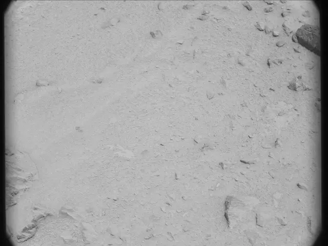 Sol 50: Mast Camera (Mastcam)
