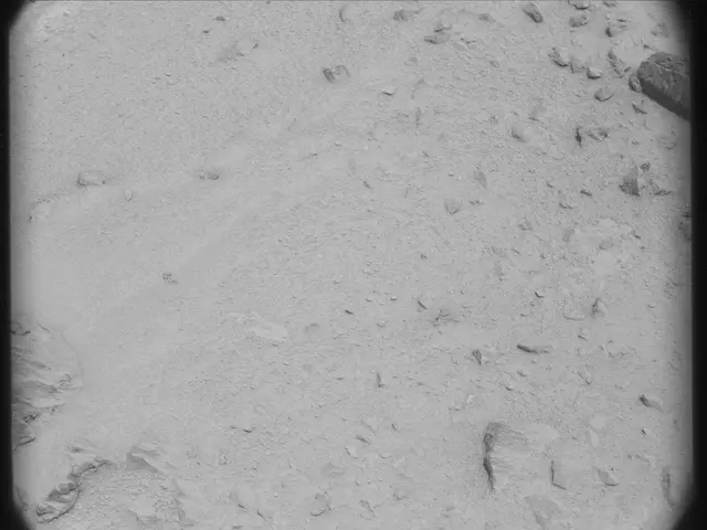 Sol 50: Mast Camera (Mastcam)