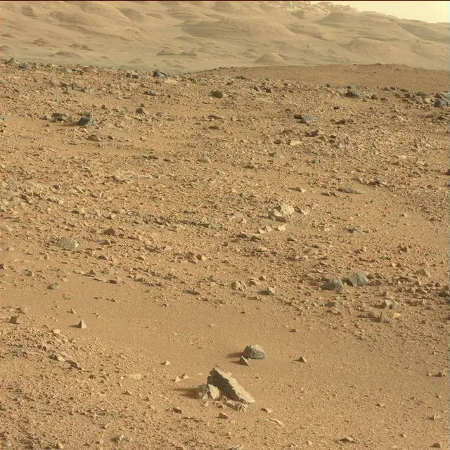 Sol 50: Mast Camera (Mastcam)