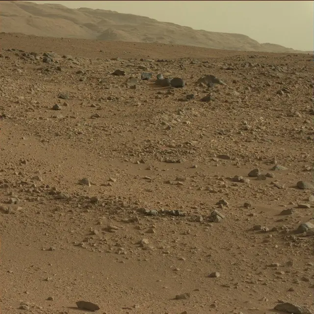 Sol 50: Mast Camera (Mastcam)