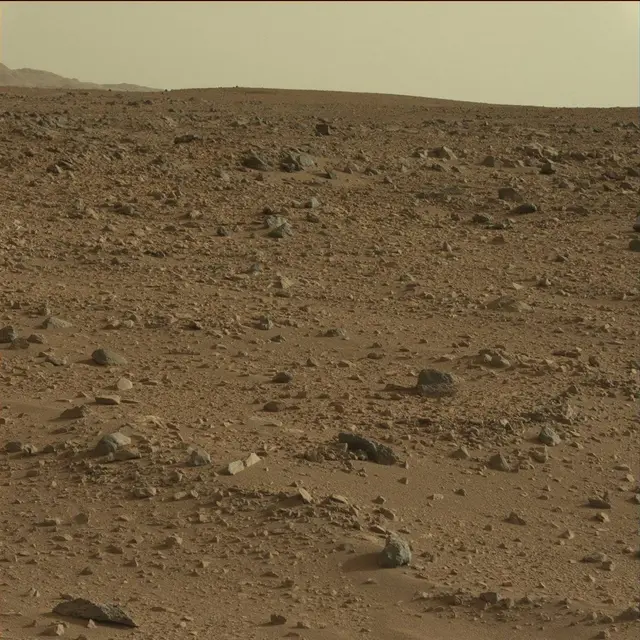 Sol 50: Mast Camera (Mastcam)