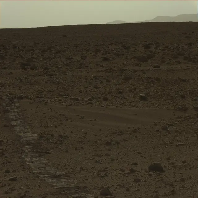 Sol 50: Mast Camera (Mastcam)