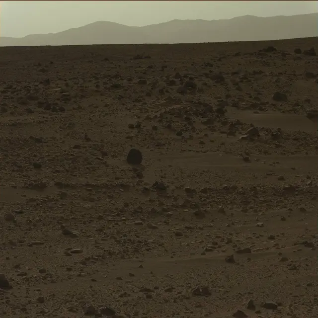 Sol 50: Mast Camera (Mastcam)
