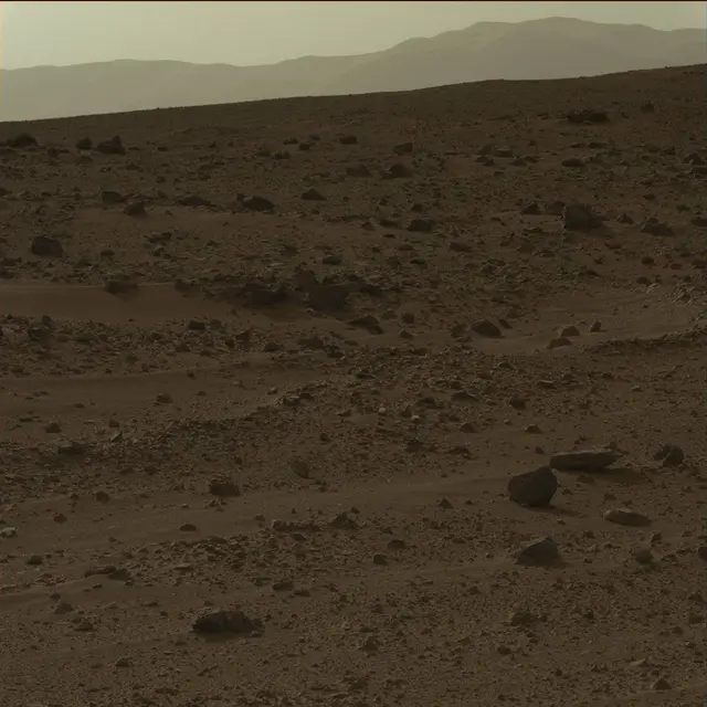Sol 50: Mast Camera (Mastcam)