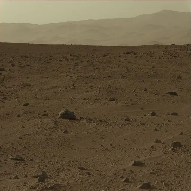 Sol 50: Mast Camera (Mastcam)