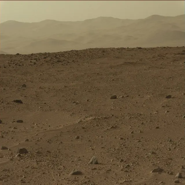 Sol 50: Mast Camera (Mastcam)
