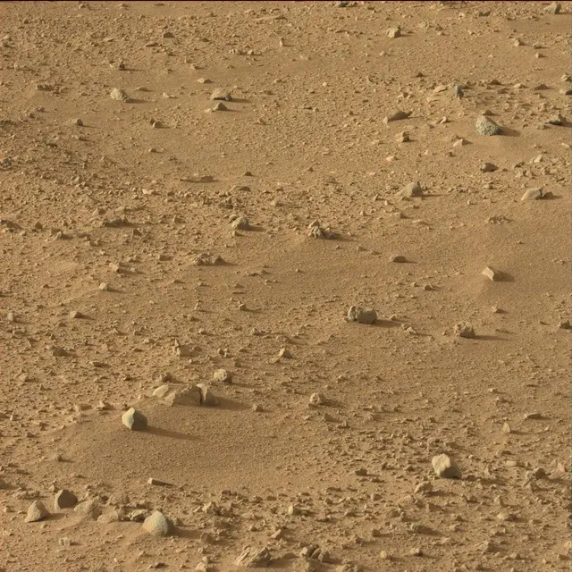 Sol 50: Mast Camera (Mastcam)