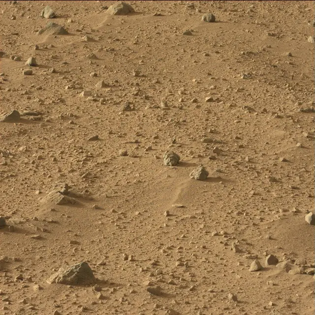 Sol 50: Mast Camera (Mastcam)
