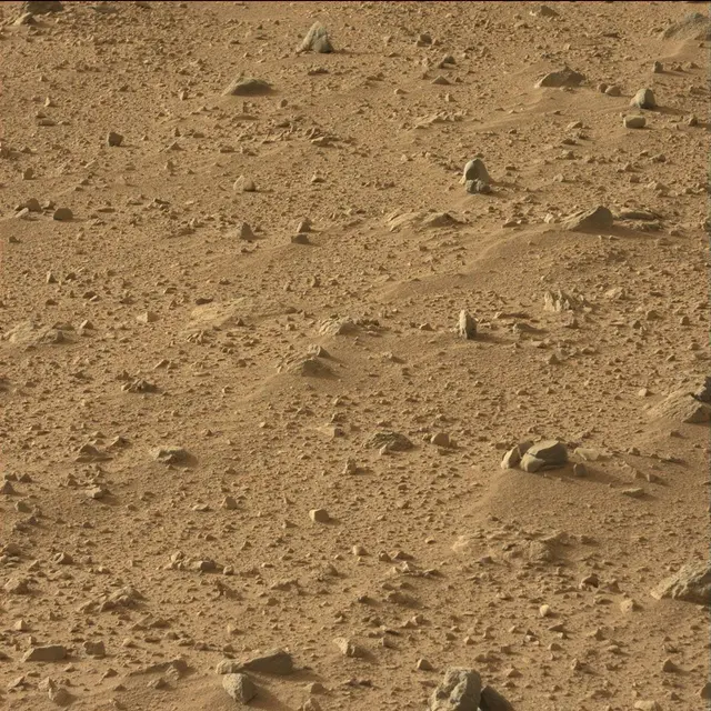 Sol 50: Mast Camera (Mastcam)