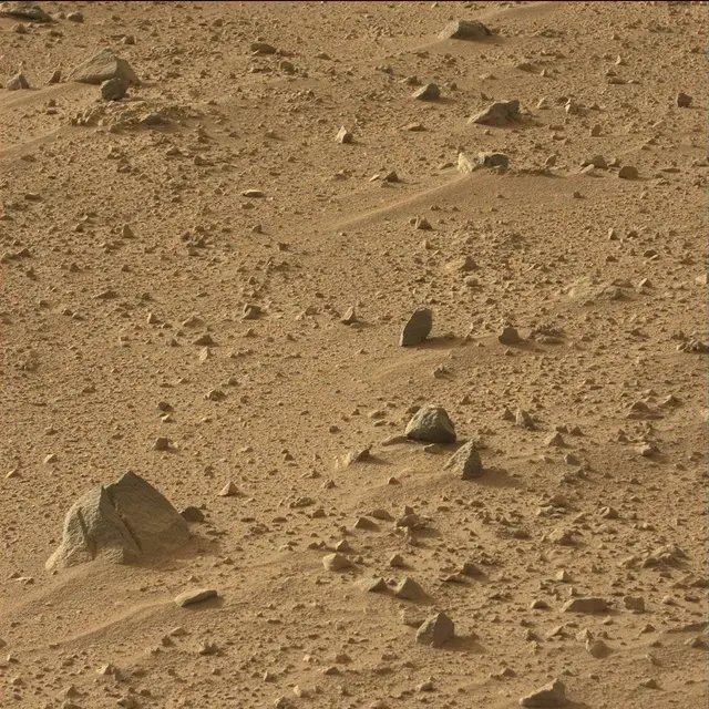 Sol 50: Mast Camera (Mastcam)