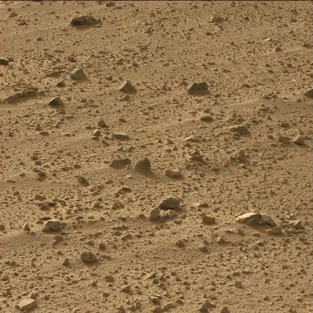 Sol 50: Mast Camera (Mastcam)