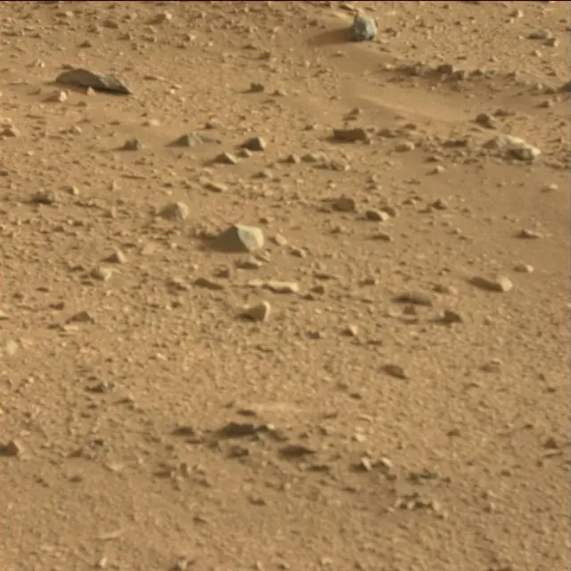 Sol 50: Mast Camera (Mastcam)