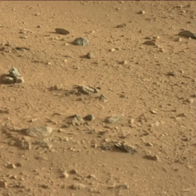 Sol 50: Mast Camera (Mastcam)