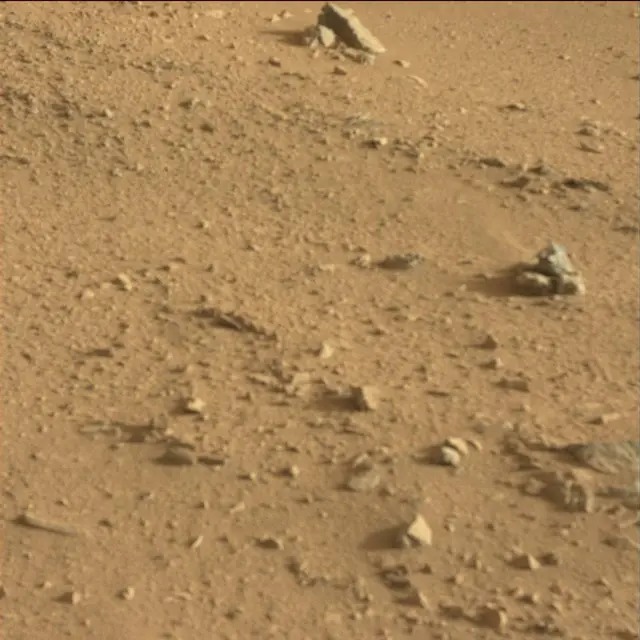Sol 50: Mast Camera (Mastcam)