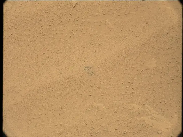 Sol 50: Mast Camera (Mastcam)