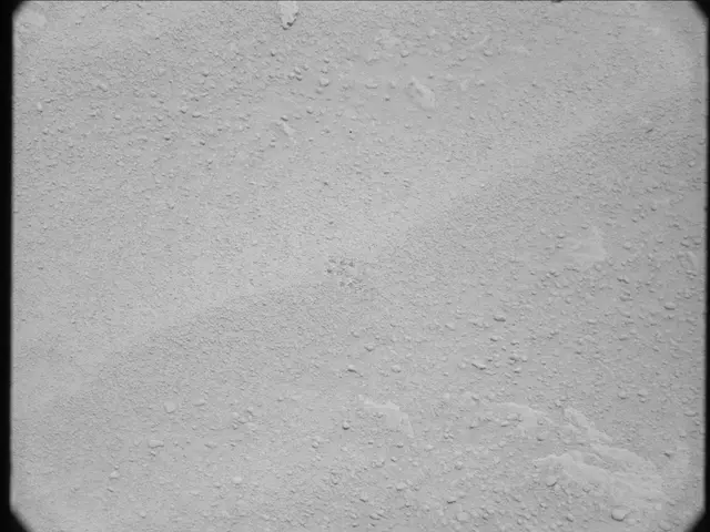 Sol 50: Mast Camera (Mastcam)
