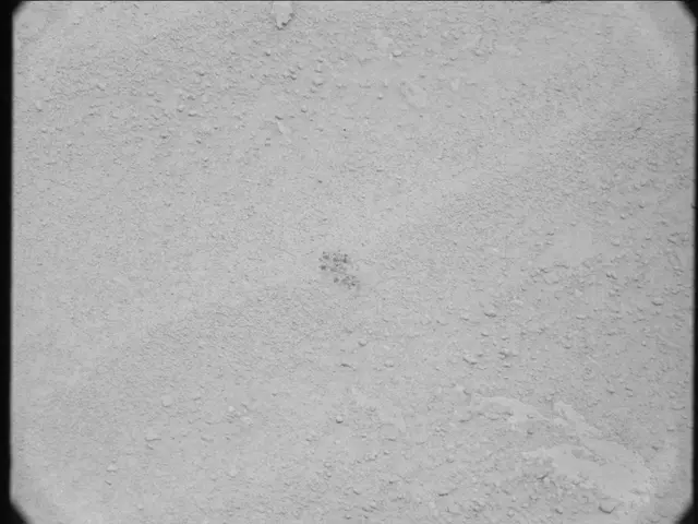 Sol 50: Mast Camera (Mastcam)