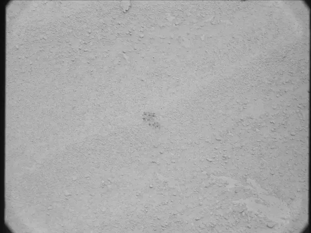Sol 50: Mast Camera (Mastcam)